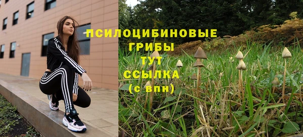 герыч Корсаков